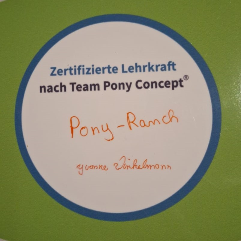 Team Pony Concept